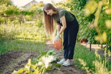 Is Well Water Good For Vegetable Garden