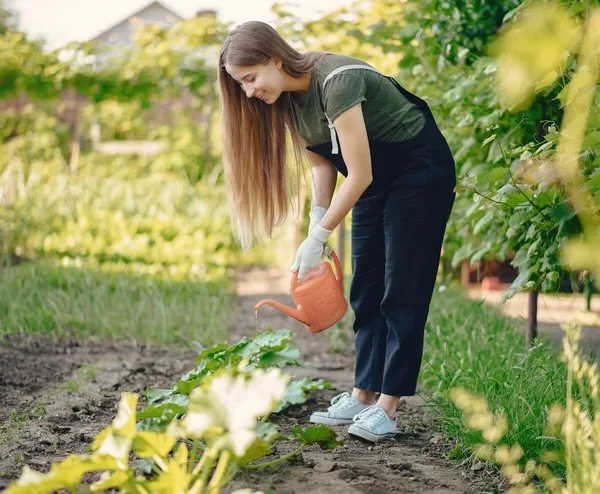 Is Well Water Good For Vegetable Garden